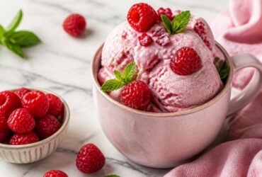 Dash My Mug Raspberry Ice Cream Recipe